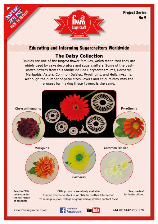 FMM Daisy Collection Project Sheet
