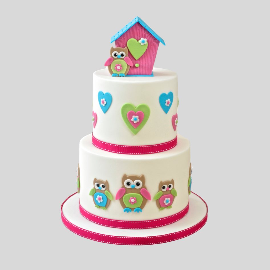 Mummy & Baby Owl Cake Bundle