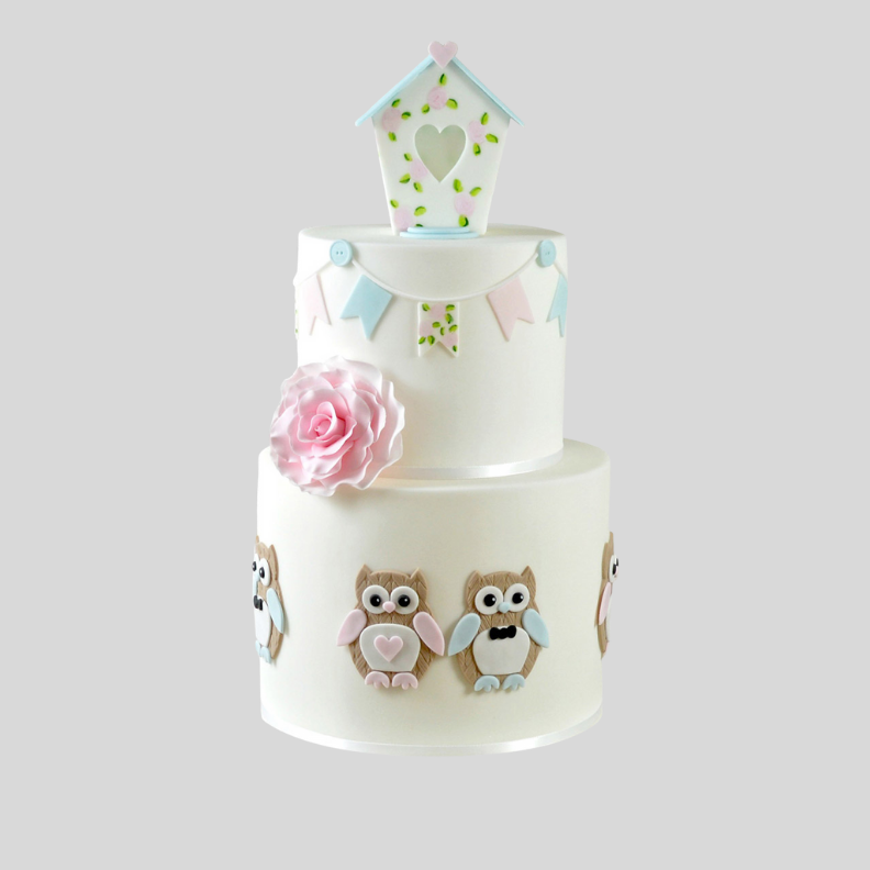 Mummy & Baby Owl Cutter Set - FMM Sugarcraft