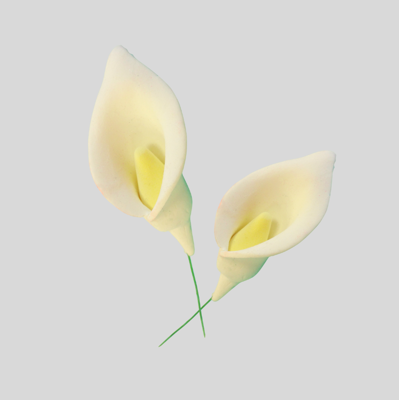 Arum Lily Set - FMM Sugarcraft
