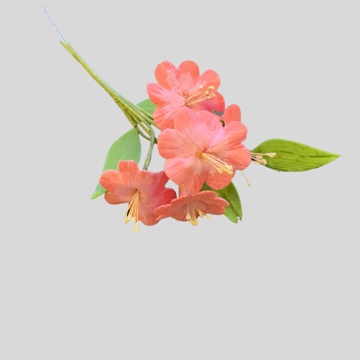 Large Blossom Set - FMM Sugarcraft