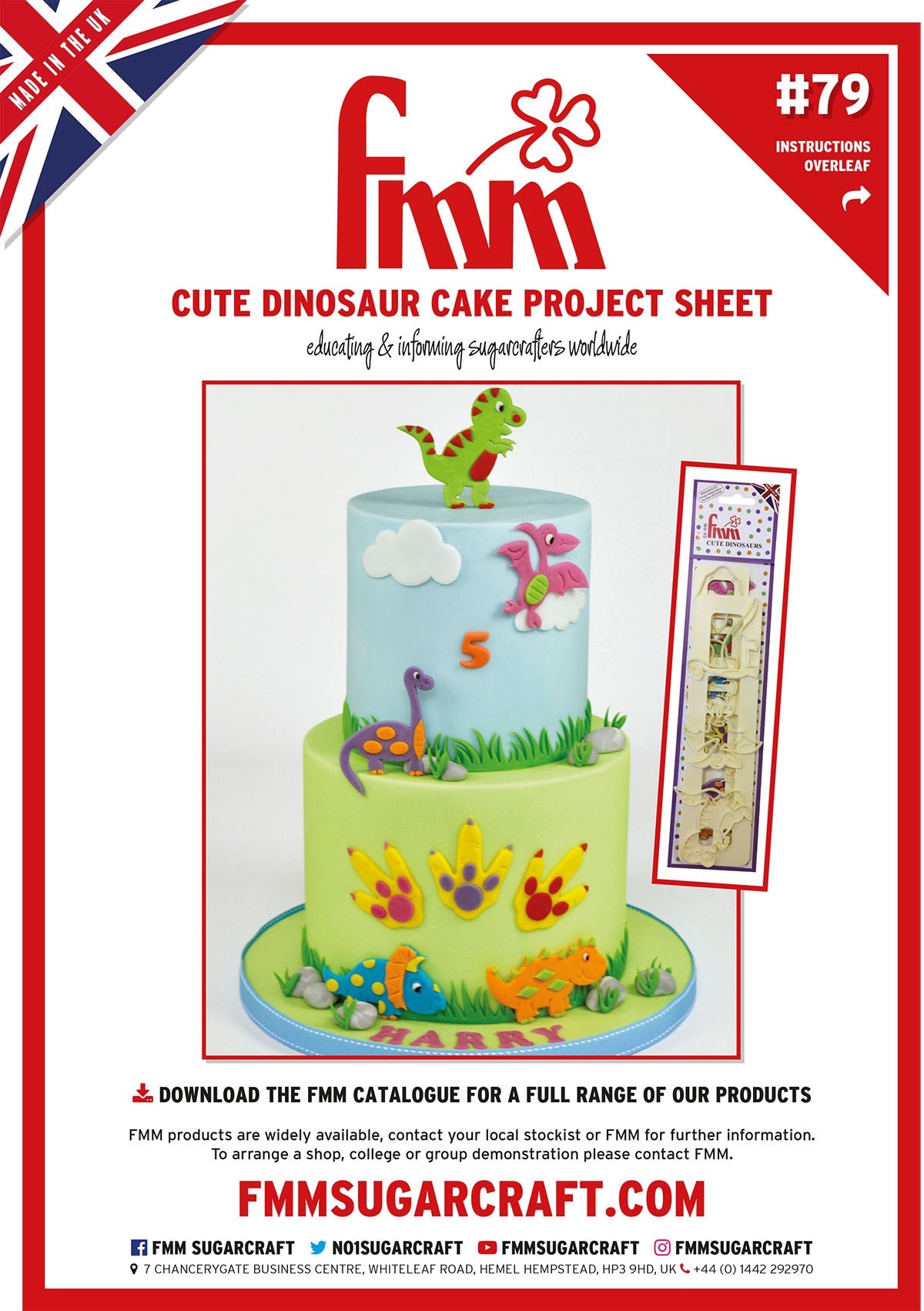 FMM Cute Dinosaur Cake Project Sheet