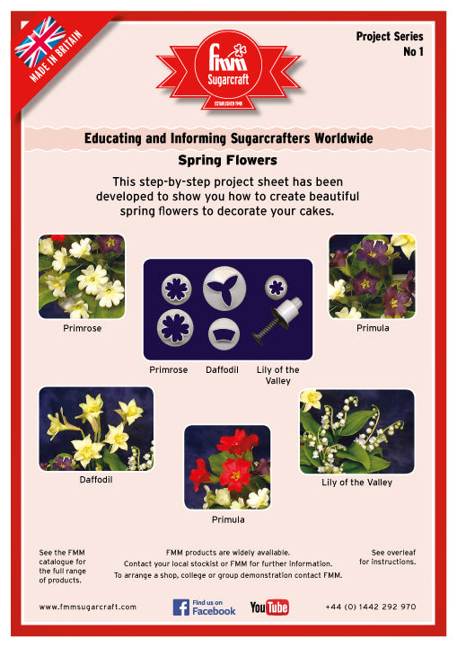 FMM Spring Flowers Project Sheet
