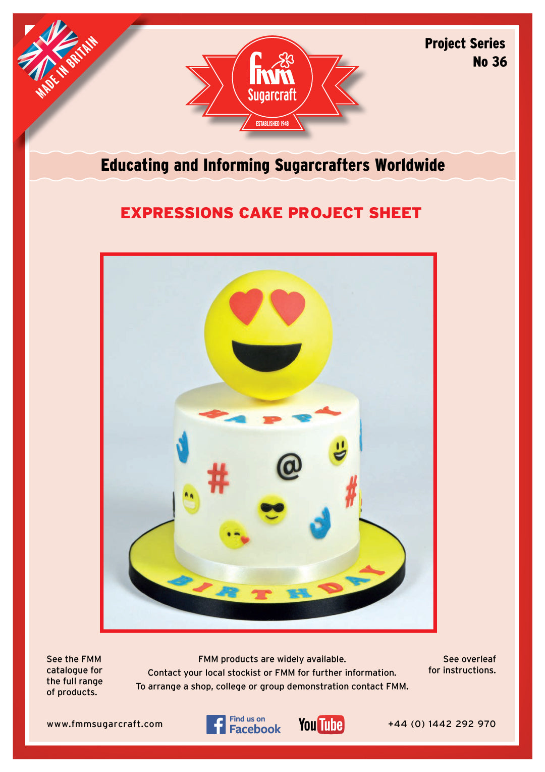 FMM Expressions Cake Project Sheet