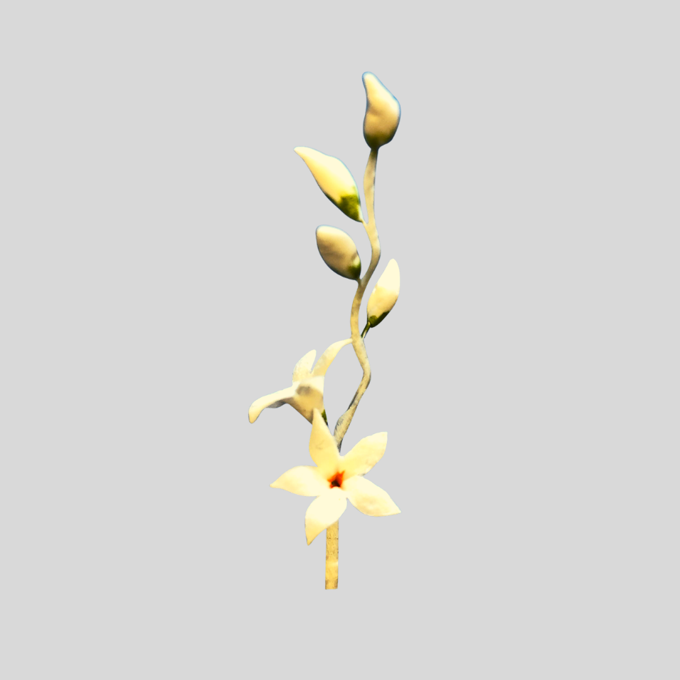 Calyx/Jasmin Cutter - FMM Sugarcraft