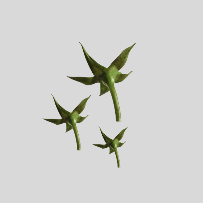 Rose Calyx - set of 3 - FMM Sugarcraft