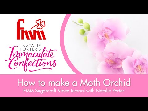 FMM Moth Orchid Tutorial with Natalie Porter