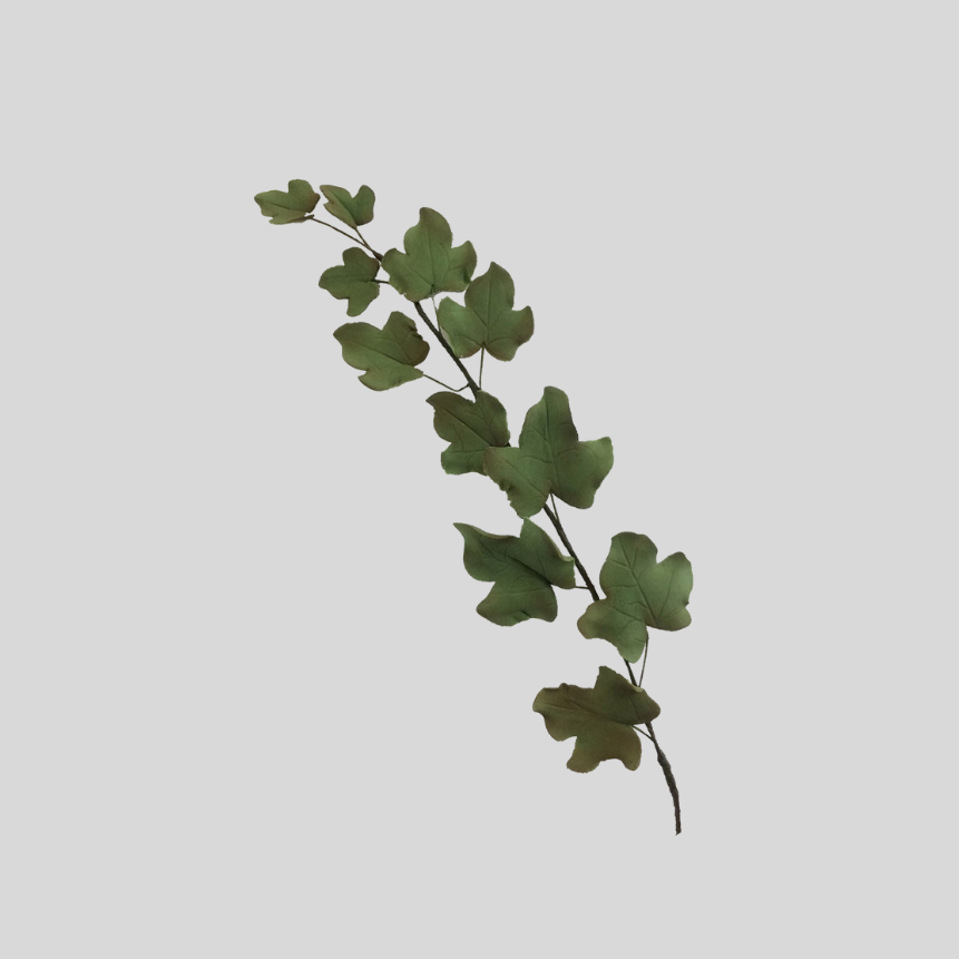 Ivy Leaf Cutter - FMM Sugarcraft