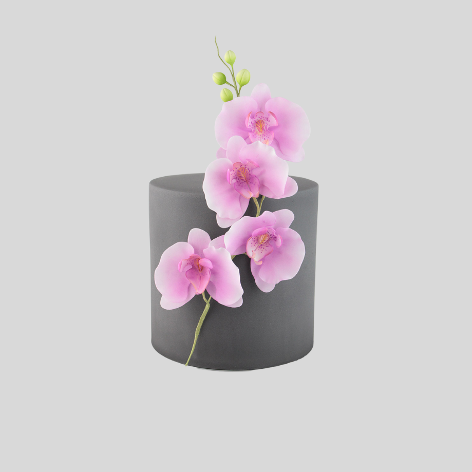 Moth Orchid Cutter - FMM Sugarcraft